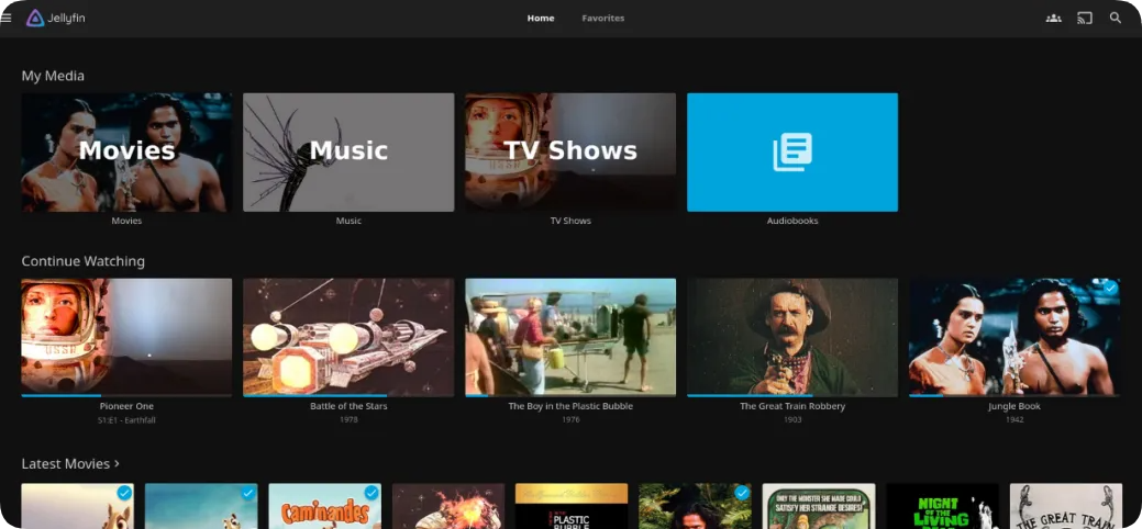 星哥带你玩飞牛 NAS-8:有了 NAS 你可以干什么?软件汇总篇 星哥带你玩飞牛 NAS-8:有了 NAS 你可以干什么?软件汇总篇