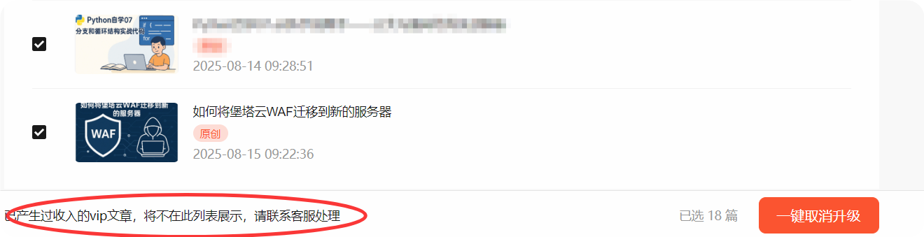 image-20251107164741910