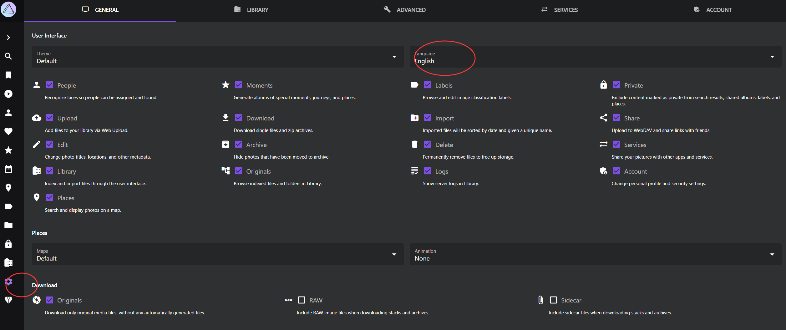 image-20241230164906326