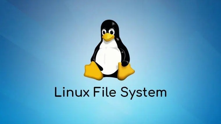 linux-file-system.webp