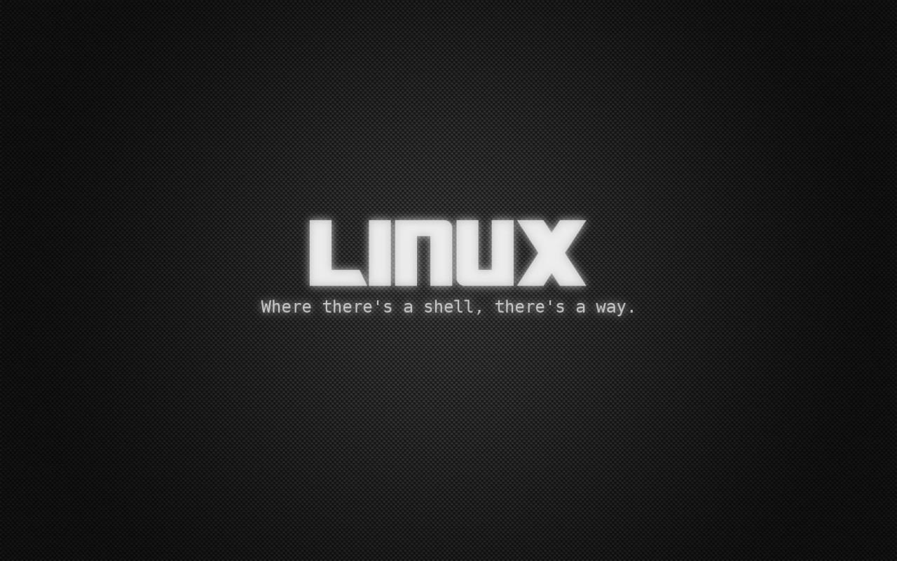 linux-webvm